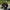Ava – Bomber Jacket Women - Stylish & Cozy | Winter Coat 6