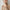 Mia – Cashmere Sweater Women’s Cozy Turtleneck | Sweater 12