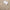 Michael – Men's Cardigan Knitted Stylish | V-neck Sweater 5