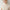 Mia – Cashmere Sweater Women’s Cozy Turtleneck | Sweater 13