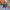 Ava – Leather Jacket + Women’s - Stylish Casual | Short Coat 5