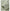 Alex – Hoodie + Men’s - Casual/Comfortable | Pullover Sweatshirt 5