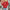 Clara – Christmas Jumper Women's Fun Pattern | Pullover 7