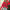Clara – Christmas Jumper Women’s Stylish Casual | Knitwear 14