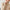 Mia – Cashmere Sweater Women’s Cozy Turtleneck | Sweater 8