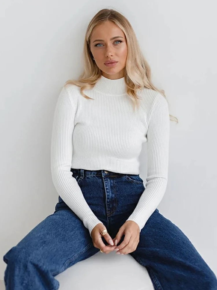 Ribbed Turtleneck Sweater