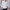 Max – Mens Sweater Vest - Stylish V Neck | Knitted Vest 3