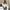 Ava – Bomber Jacket Women - Stylish Vintage | Short Coat 4