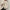 Ava – [exact keyword] Women’s Stylish | Hoodie 5