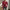 Tara – Cardigan Ladies Women’s Slim Fit | Knitted Sweater 2