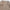 Emma – [quilted jacket] Women’s Stylish & Versatile | Blazer 6
