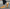 fjorna Mark: Orthopedic Footwear
