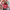 Emma – Christmas Jumper Women’s Cozy Style | Ladies Christmas Jumpers 1