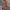 Jasmine - Chic V-Neck Polyester Summer Dress