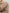Ava – Crew Neck Women's Sweater | Cozy Casual Knitwear 8