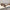 Liam - Retro Bold Square Sunglasses