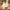 Mia – Women's Sweater Oversized Cozy Crew Neck | Pullover 5