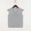 Christof - Men's Chunky V-Neck Sleeveless Knit Sweater