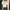 Fiona – Cardigan Knitted Women’s Slim Fit | Stylish Top 3
