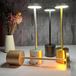 LoraGlow Wireless Table Lamp | USB Rechargeable & Dimmable