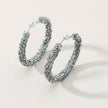 Chic, Opulent, and Radiant Hoop Earrings