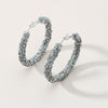Chic, Opulent, and Radiant Hoop Earrings