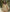 Isla | Elegant Ruffled Dress with Built-In Shorts