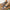 fjorna Cicely | Comfort-Orthopedic Sandals