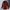 Muller | Cozy Windproof and Waterproof Jacket