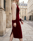 FJØRNA classic sheer sleeve embellished midi dress for women, featuring elegant design and intricate embellishments.