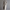 Ella | Sophisticated Trench Coat