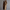 Ella | Sophisticated Trench Coat