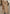 Siv | Elegant Long Coat