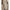 Siv | Elegant Long Coat