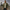 Jake | Men’s Classic Bomber