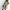 Emma – Lightweight Hooded Coat for Everyday Style & Comfort
