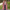 Nora | Long Casual Dyed Tweed Jacket with Button Detail